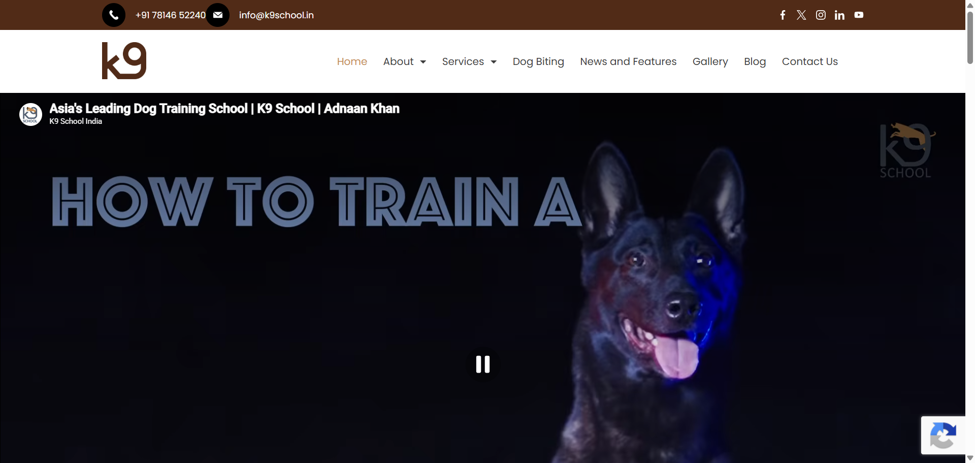 K9school